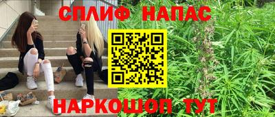 сатива Можга