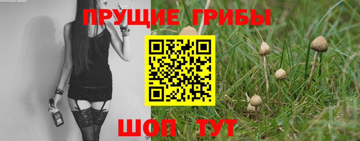 Галлюциногенные грибы Psilocybe  Галлюциногенные грибы Psilocybe  Советская Гавань  Вход с VPN 