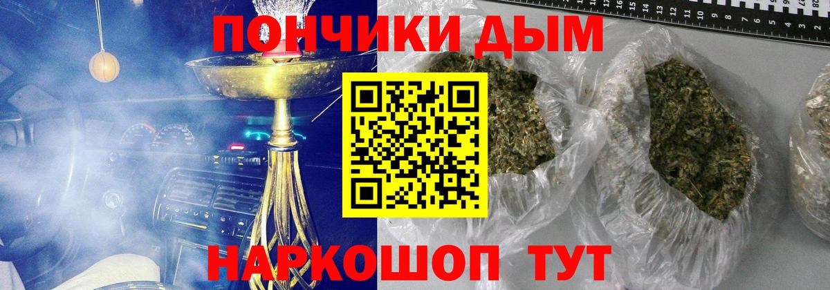 Бошки Шишки индика  Вход с VPN  Каннабис SATIVA & INDICA  Каннабис Bruce Banner  Каннабис план  Советская Гавань 